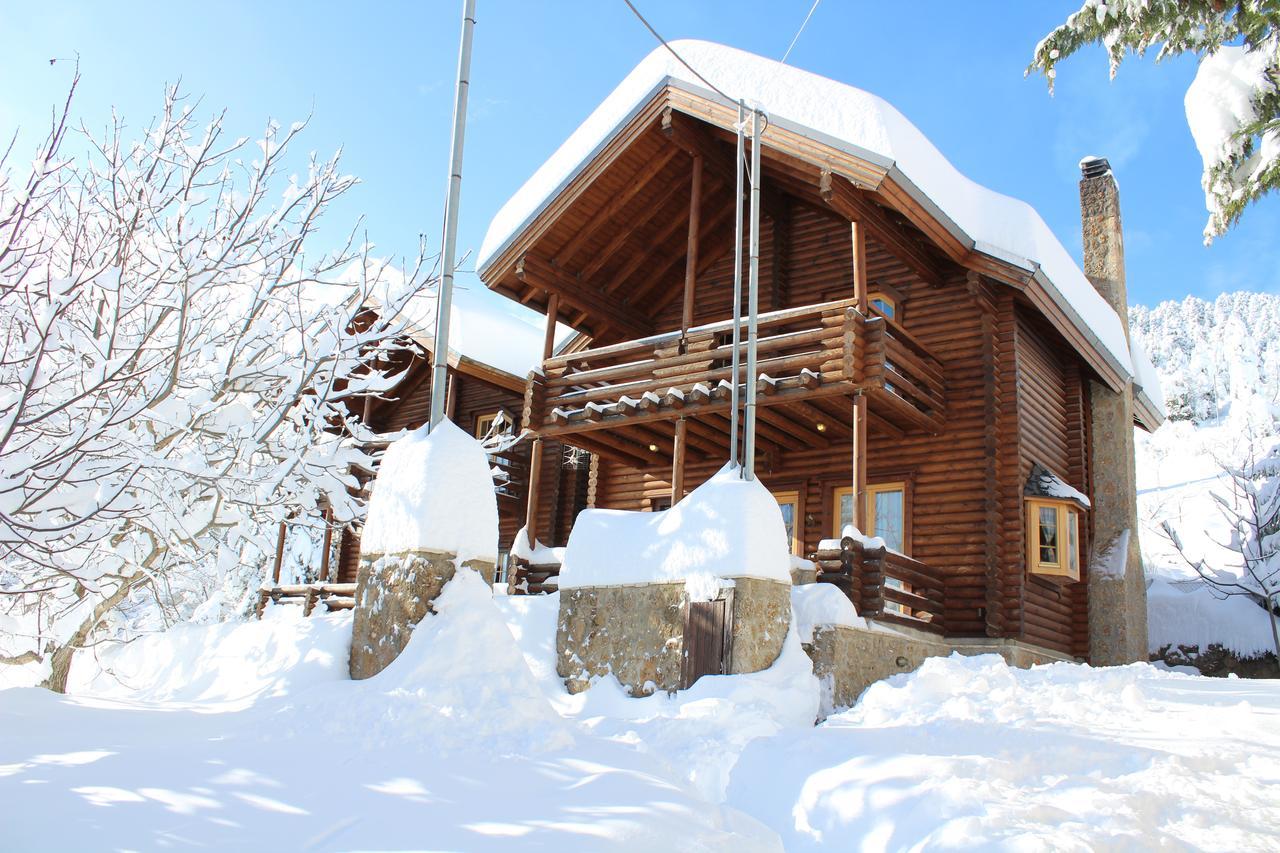 Paradise Chalet Ано Трикала Екстериор снимка